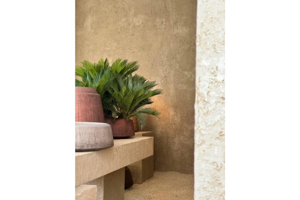 Combinações de vasos cerâmicos e plantas para ambientes minimalistas