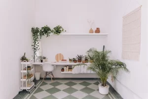 plantas pendentes para esconder fios