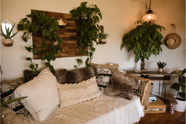 Decoração boho com samambaias suspensas