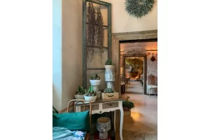 Plantas na decoração vintage
