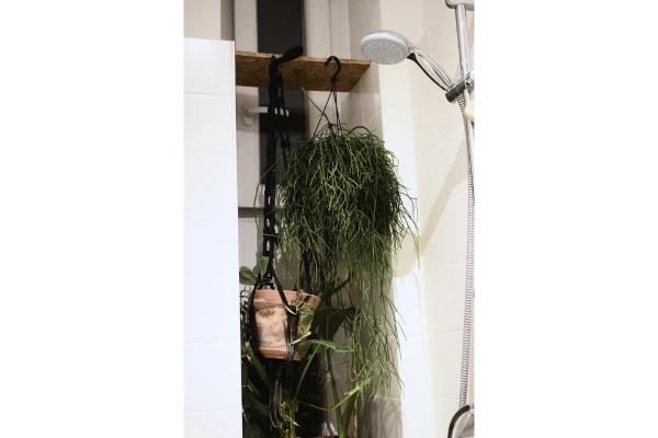 jardins suspensos em banheiros de apartamentos pequenos