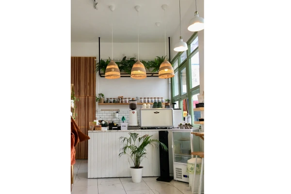 Plantas para cozinha compacta com pouca ventilação natural