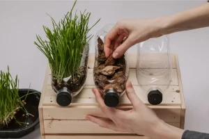 horta vertical em lavandeiras pequenas